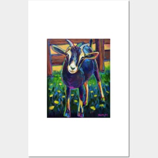 Gertie the Black Farm Goat Posters and Art